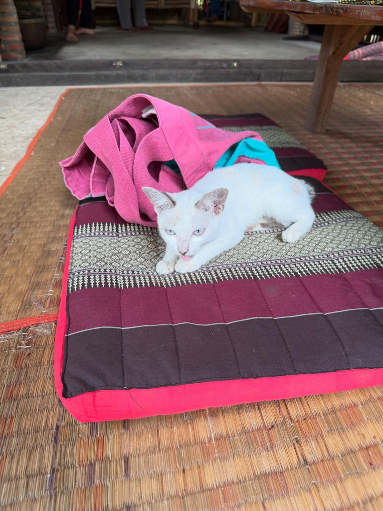 Banteay Srey Women's only Traditional Spa and Homestay in Kampot, Cambodia