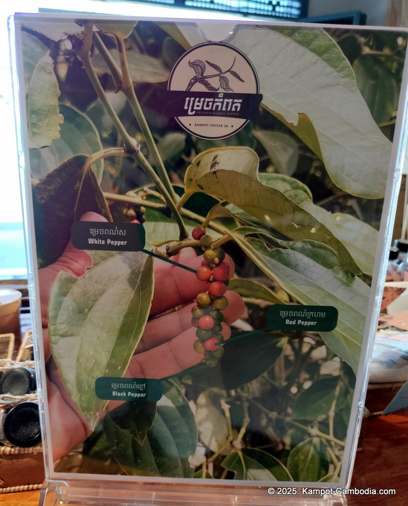 Kampot Pepper 26 store in Kampot, Cambodia