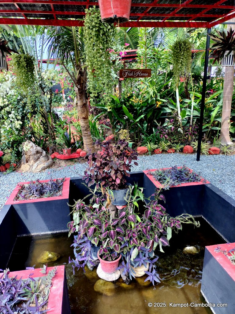 Casa Botanica Gardens and Rooms in Kampot, Cambodia.