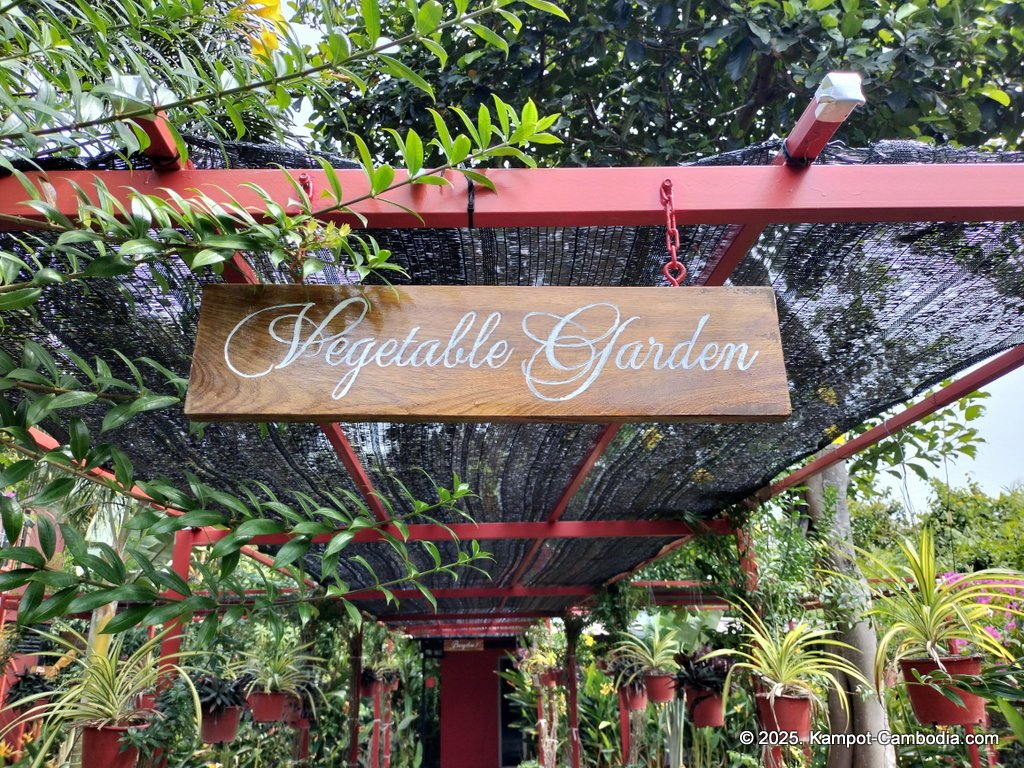 Casa Botanica Gardens and Rooms in Kampot, Cambodia.