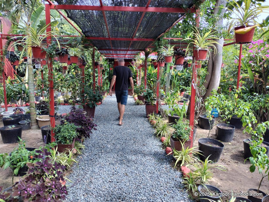 Casa Botanica Gardens and Rooms in Kampot, Cambodia.