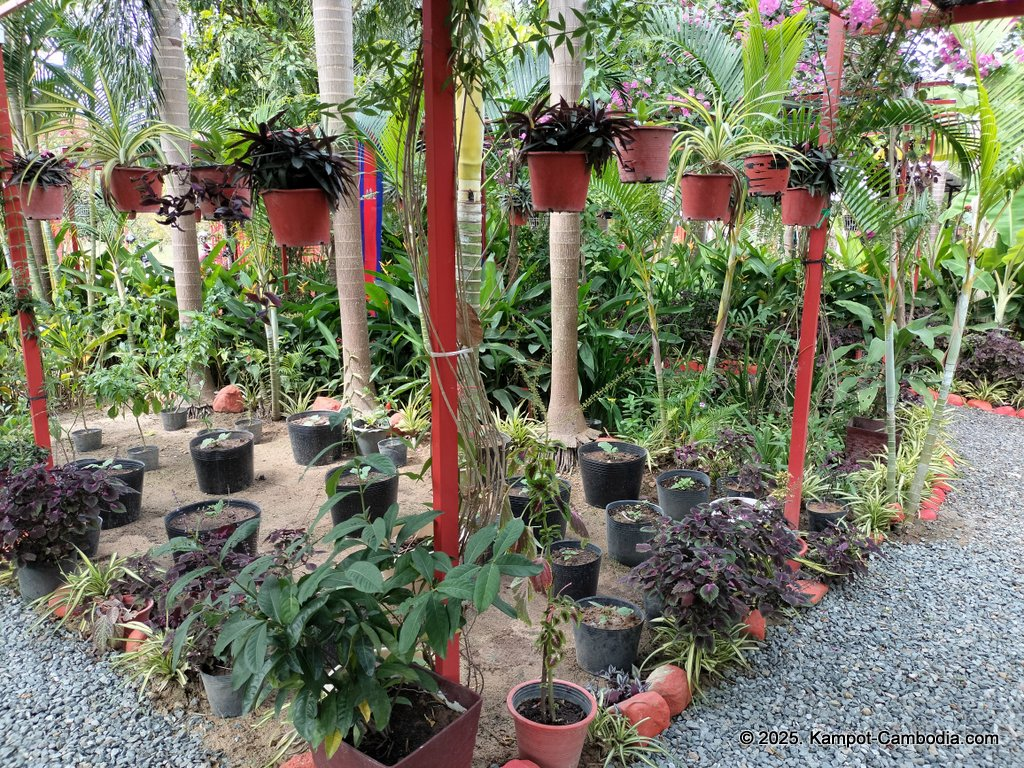 Casa Botanica Gardens and Rooms in Kampot, Cambodia.