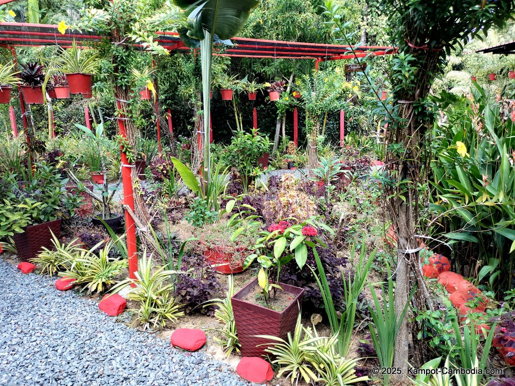 Casa Botanica Gardens and Rooms in Kampot, Cambodia.