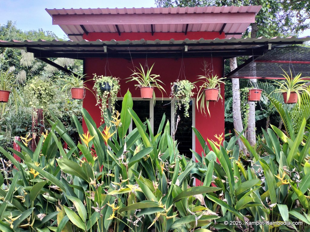 Casa Botanica Gardens and Rooms in Kampot, Cambodia.