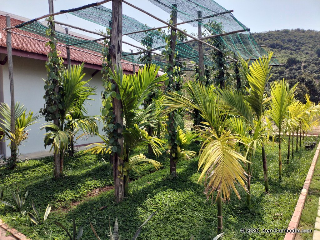 secret lake house in kampot, cambodia on the secret lake.