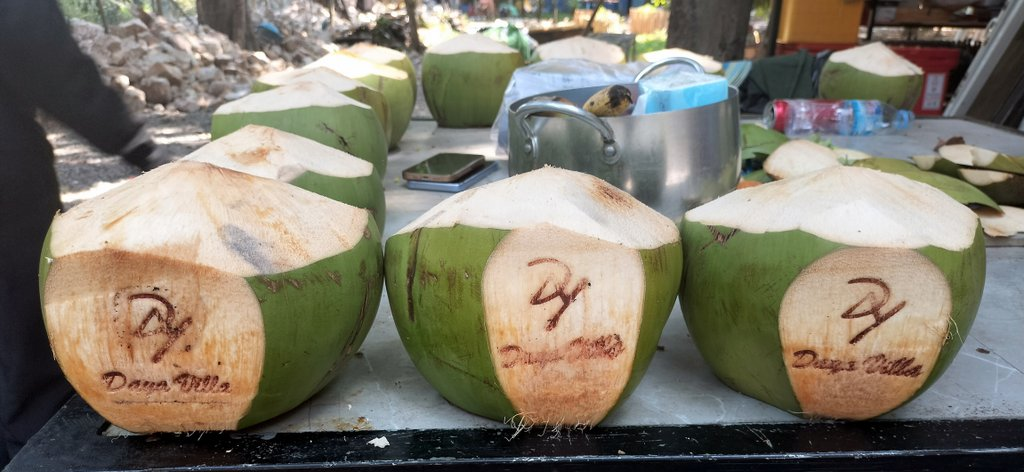 daya villa in kampot cambodia