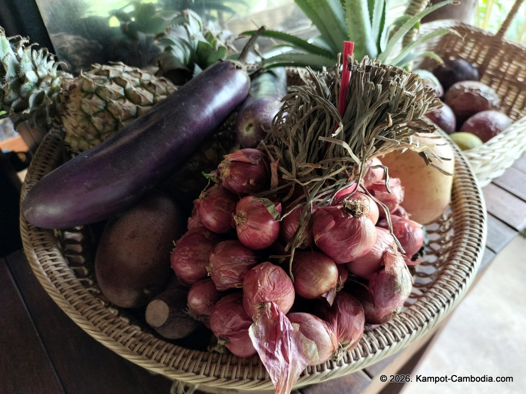 Sre Lodge Community in Kampot, Cambodia. Nature resort.