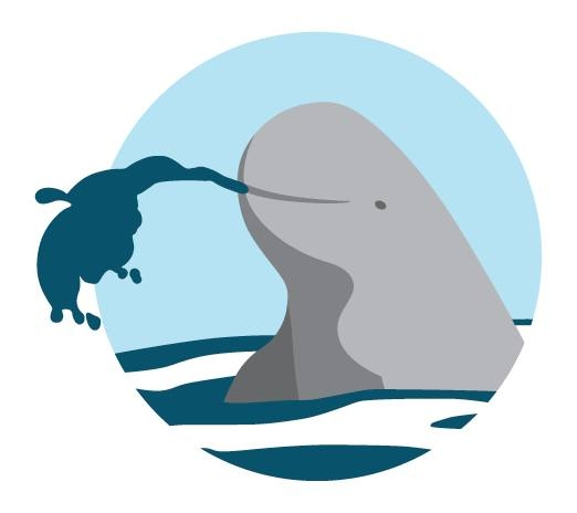 Kampot Dolphin Tours with Khmer Ocean LIfe in Cambodia.