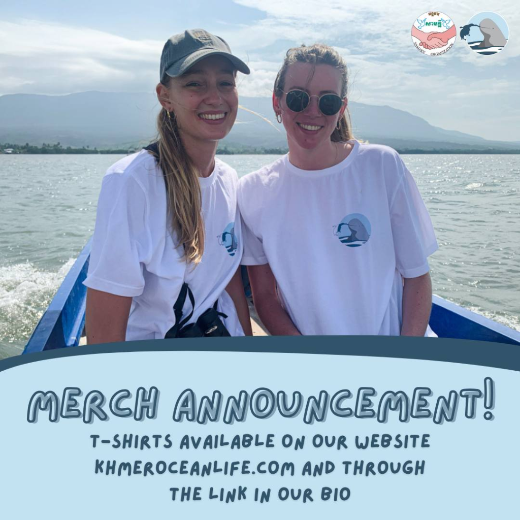 Kampot Dolphin Tours with Khmer Ocean LIfe in Cambodia.