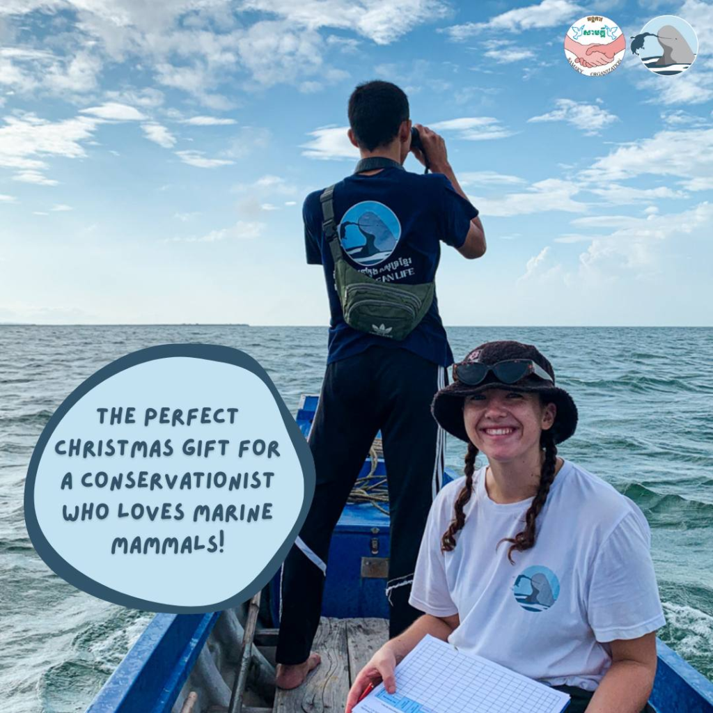 Kampot Dolphin Tours with Khmer Ocean LIfe in Cambodia.