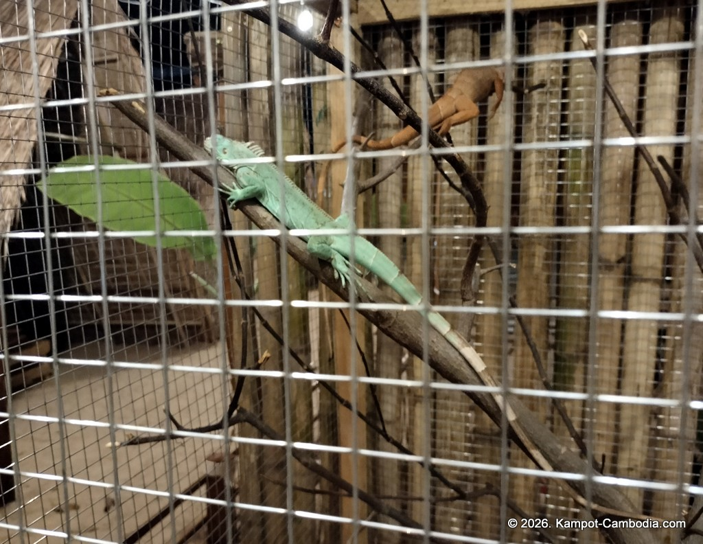 Kumpot Cafe and RC Racetrack in Kampot, Cambodia.