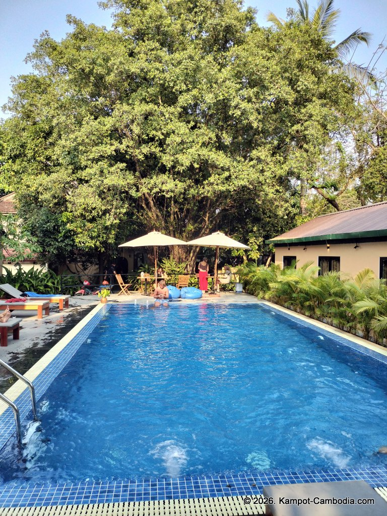 monkey republic in kampot cambodia