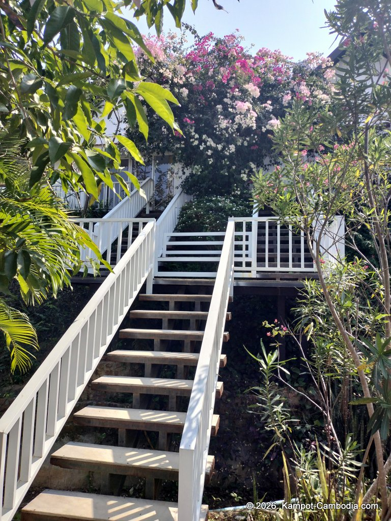 Borerium Teuk Chhou Resort in kampot cambodia