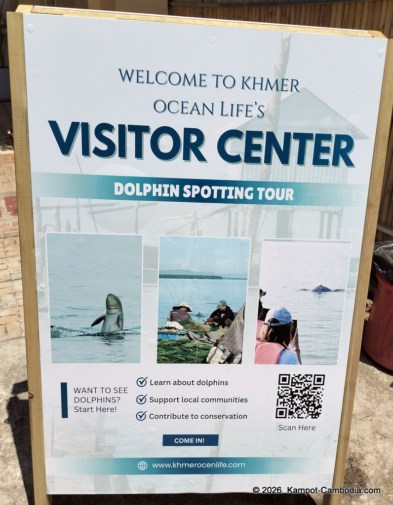 Kampot Dolphin Tours with Khmer Ocean LIfe in Cambodia.
