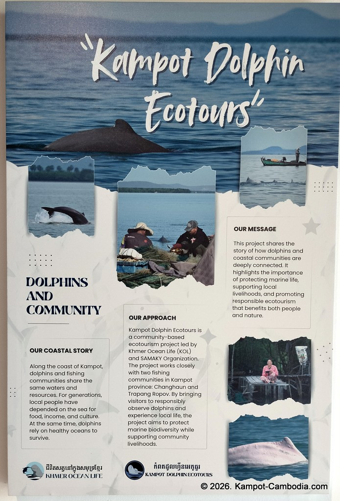 Kampot Dolphin Tours with Khmer Ocean LIfe in Cambodia.