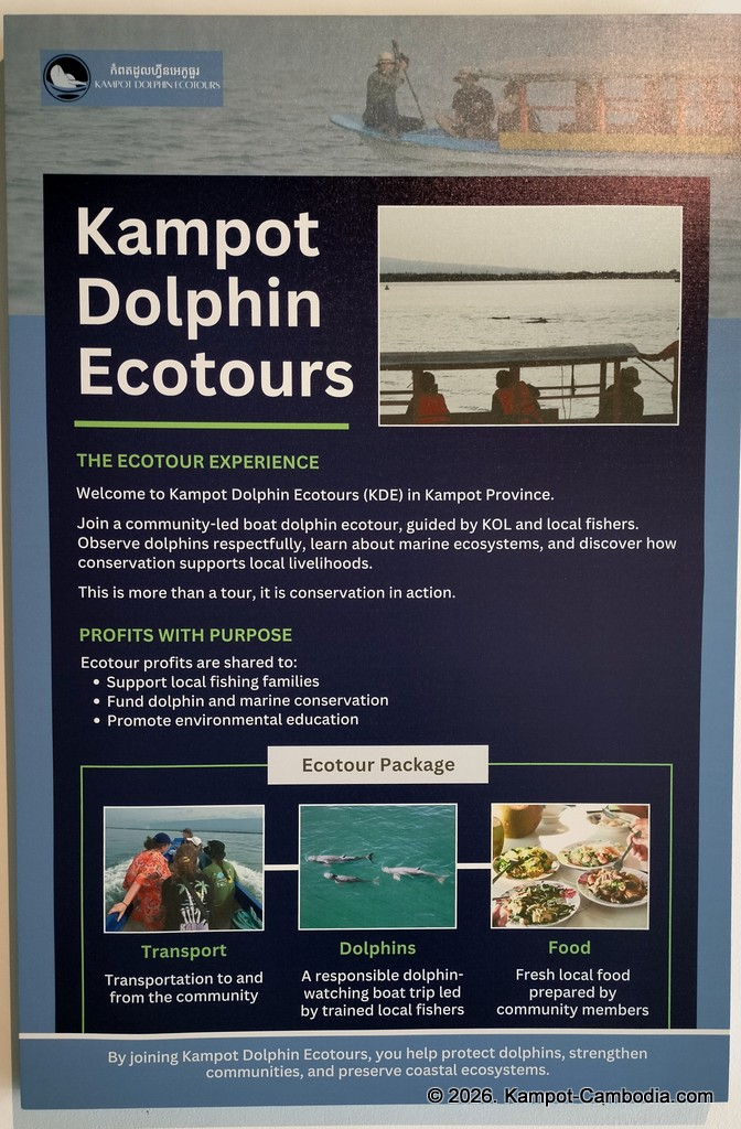 Kampot Dolphin Tours with Khmer Ocean LIfe in Cambodia.