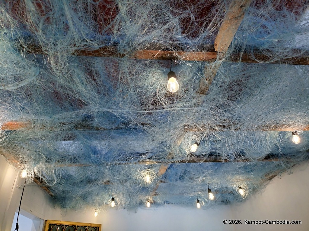 Kampot Dolphin Tours with Khmer Ocean LIfe in Cambodia.