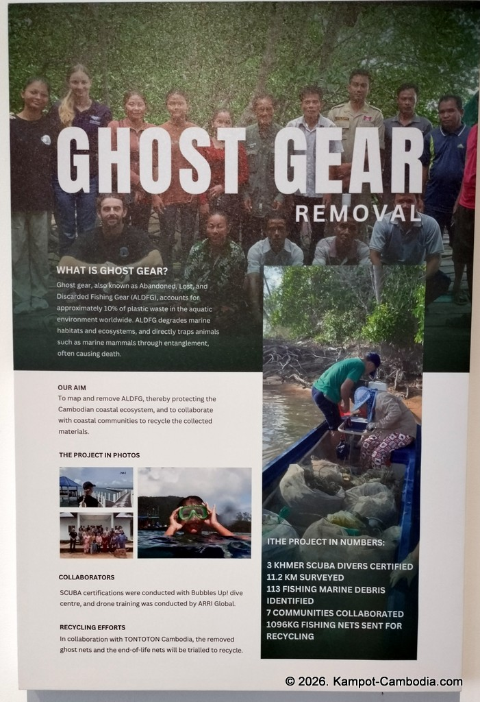 Kampot Dolphin Tours with Khmer Ocean LIfe in Cambodia.