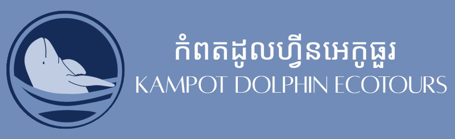 Kampot Dolphin Tours with Khmer Ocean LIfe in Cambodia.