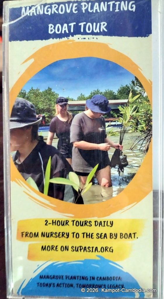 sup asia stand-up paddle board in kampot, cambodia