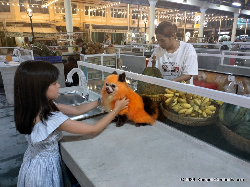 Kampot Street Food. 40 khmer restaurant in downtown Kampot, Cambodia.