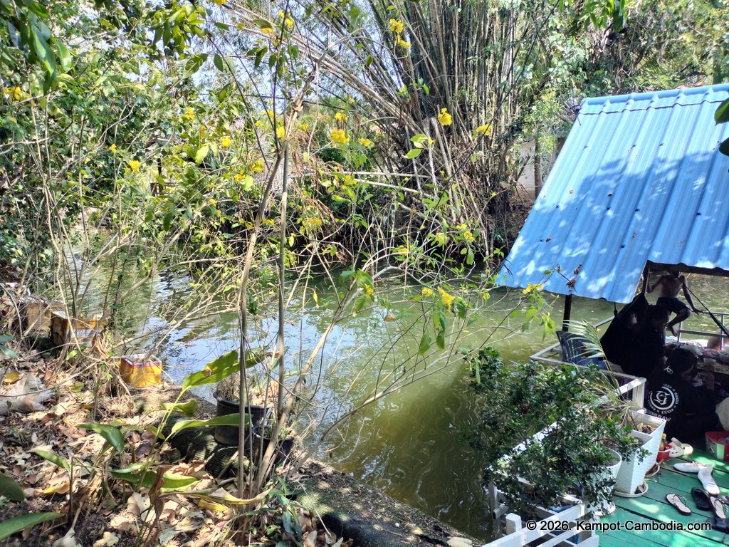 bopha Prey riverside guesthouse and kayaks in kampot cambodia