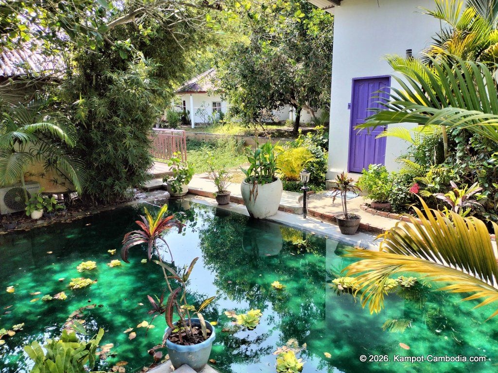 bohemiaz resort and spa in kampot cambodia.