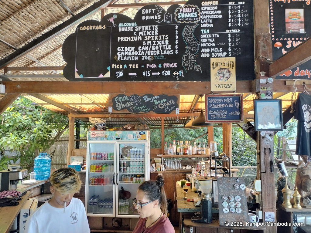 Kampot Dog Sanctuary. High Tide restaurant and Bar. Tiki Boat Rides in Kampot, Cambodia.