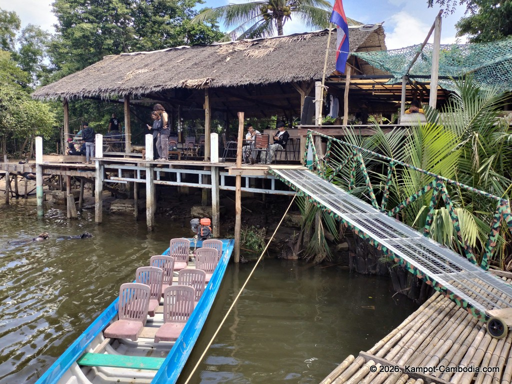 Kampot Dog Sanctuary. High Tide restaurant and Bar. Tiki Boat Rides in Kampot, Cambodia.