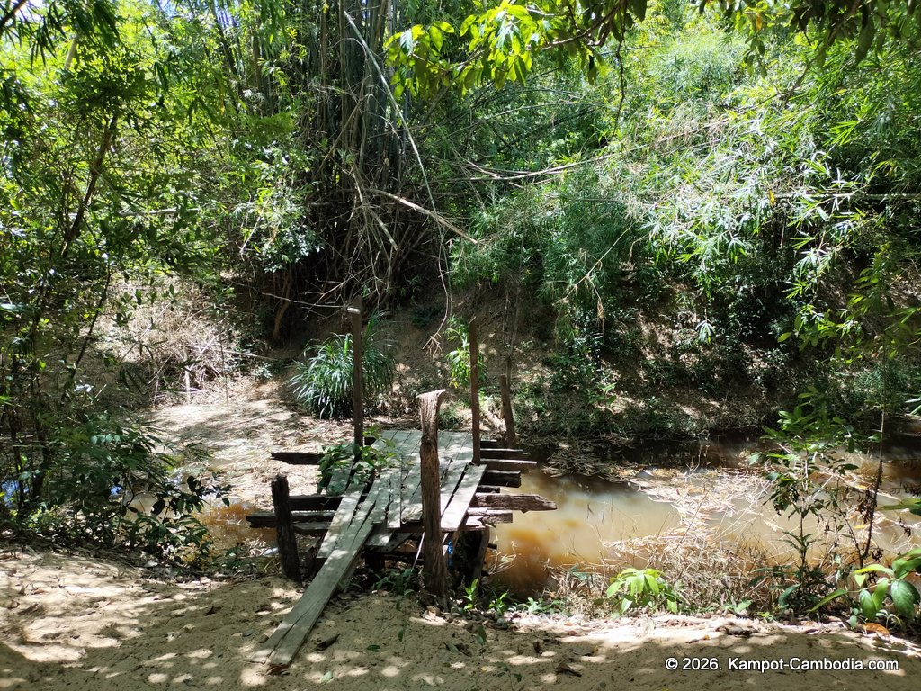 eco lotus cooking school and countryside rooms in kampot, cambodia