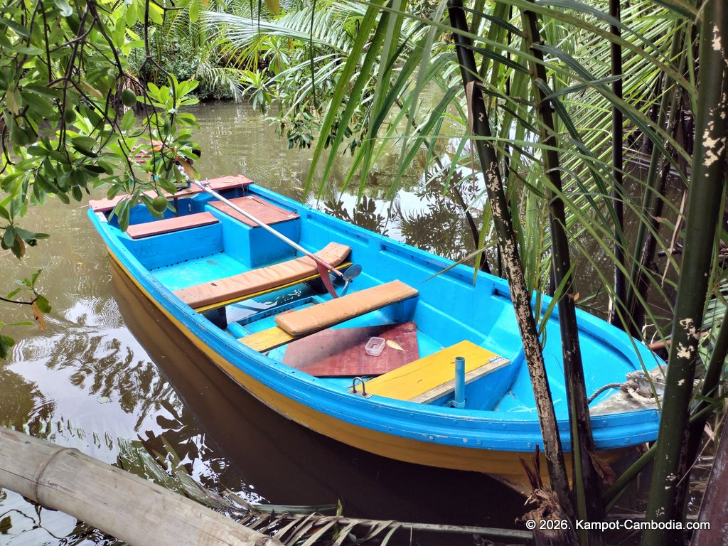 Kayaking Green Cathedral in Kampot, Cambodia. Kayak tours in the tributary of the Kampot River.