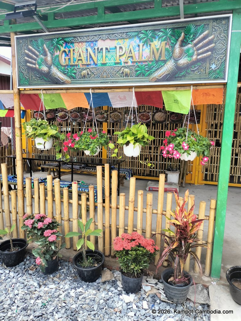 Giant Palm Polish-Khmer Restaurant in Kampot, Cambodia.
