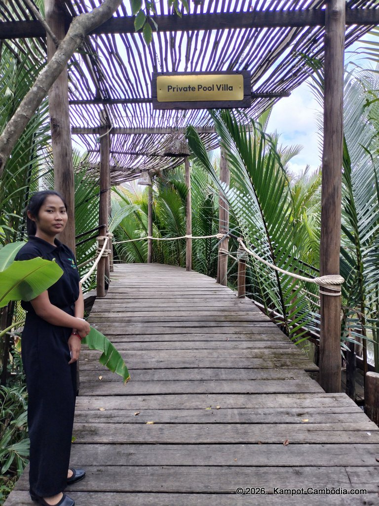 rivertree villa and resort in kampot cambodia