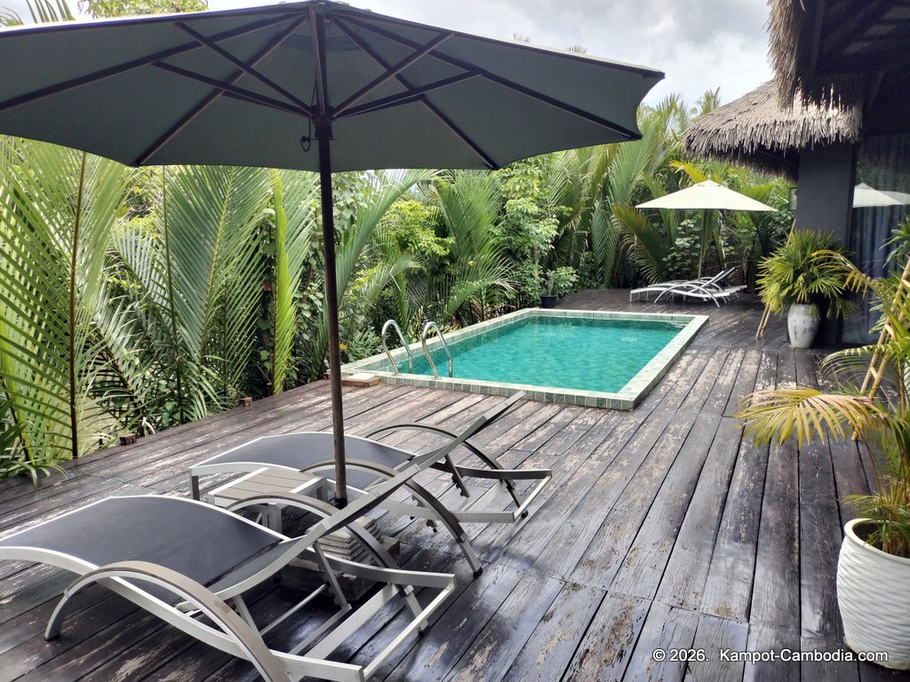rivertree villa and resort in kampot cambodia
