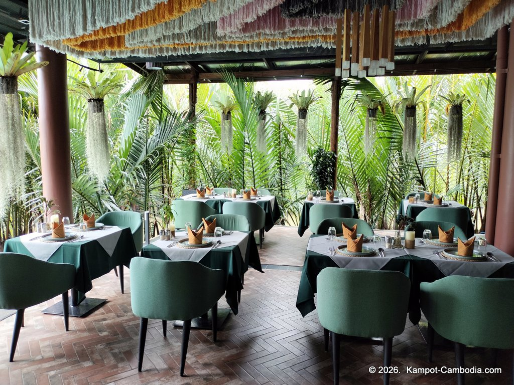 rivertree villa and resort in kampot cambodia