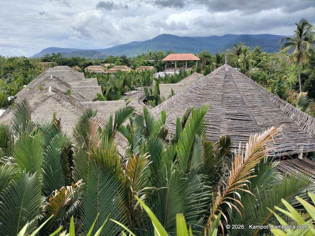 rivertree villa and resort in kampot cambodia